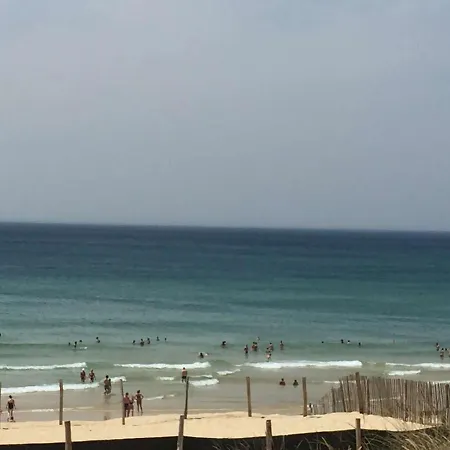 Apartment Plage Charmant T2 5 Couchages Classe 2 Etoiles Biscarrosse